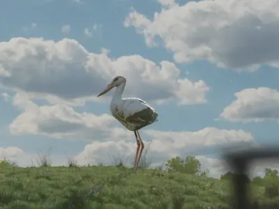 Crane on grass with animation Low-poly 3D model