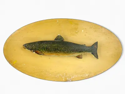 Antique Painted Carved Wood Fish Wall Sculpture 1 3D model
