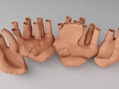 Endoplasmic Reticulum 3D model