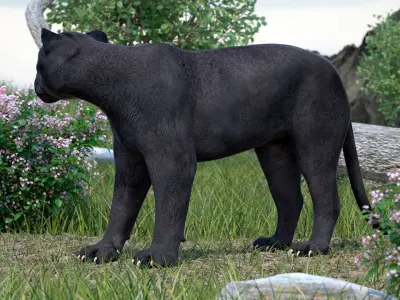 Black Panther Stand Pose 3D model