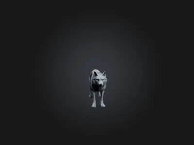 Realistic Wolf Model Low-poly 3D model