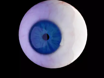 Realistic eye 3D model