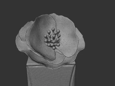 Perfume5 3D model