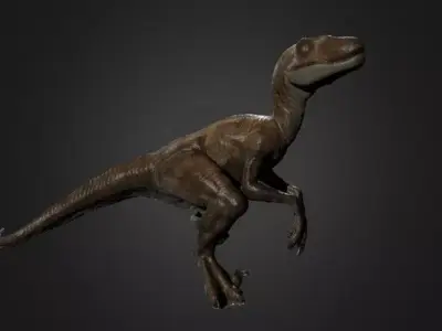 Raptor Photogrammetry Free 3D model