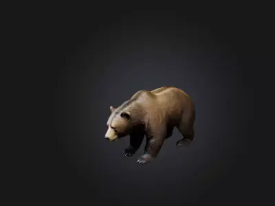 Realistic Bear Low-poly 3D model