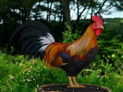 Rooster 3D model shop