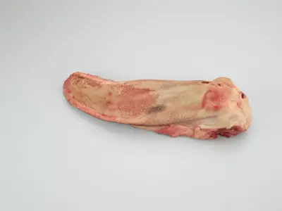 Raw Pig Tongue Low-poly 3D model