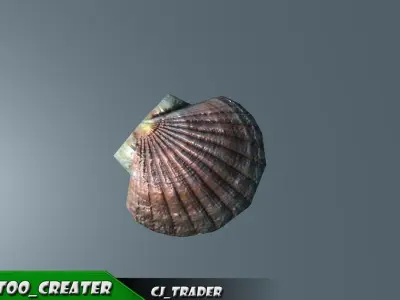 Lowpoly Under Water Shell Collection Pack 3d model Low-poly 3D model