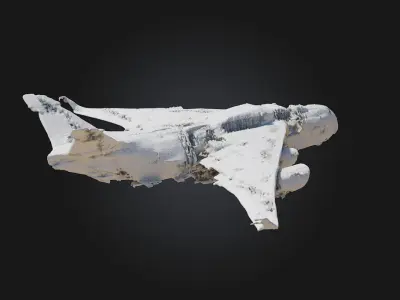Crumpled Wings  Fragile Beauty in a World of Decay 3D model