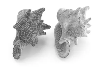 Shell 03 - Low and High Poly Versions Low-poly 3D model purchase