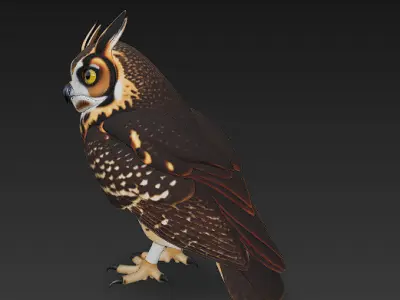 Owl Wild Realistic 3D Model - Low Poly Realistic Low-poly 3D model purchase