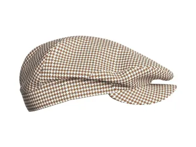 Flat Cap 3D model