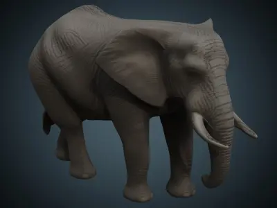 Elephant 1 Lowpoly Low-poly 3D model