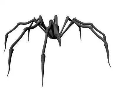 Spider 3D model 31
