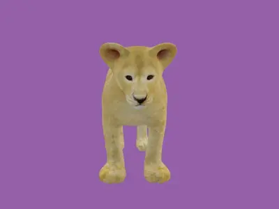 child lion lowpoly 3d model 3D model