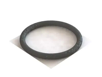 O Ring Vedabras 13012 3D model