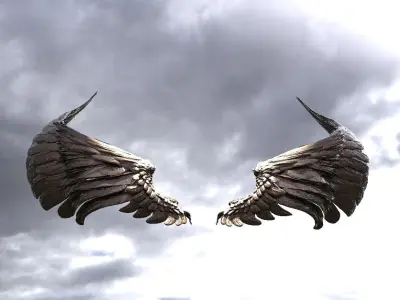 Serafim Curved wings 3 3D model