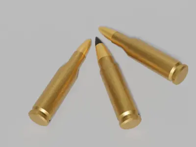 Bullets 308 Winchester 220 Swift 3D model