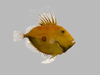 SANPEDRO LOW POLY fish 3D model
