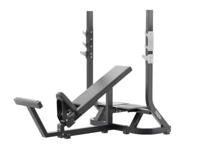Technogym Olympic Inclined Bench Pure 3D model
