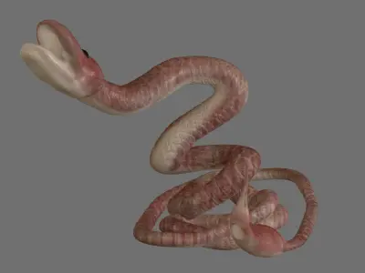 Birthing Snake 3D file Free 3D print model