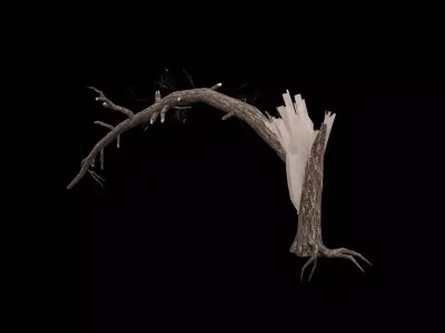 Realistic Snag Tree Low-poly 3D model