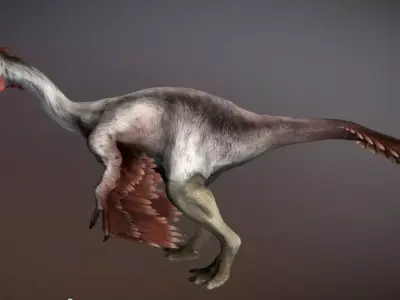 Gigantoraptor dinosaur Low-poly 3D model