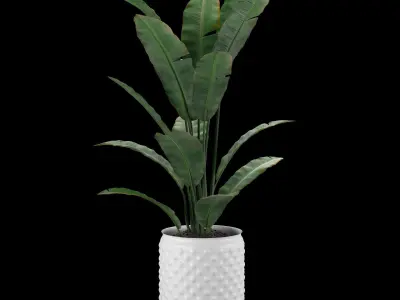 flower pot Low-poly 3D model purchase