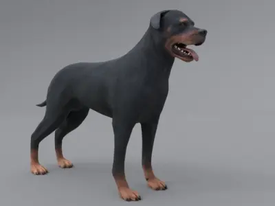 Rottweiler dog Low-poly 3D model