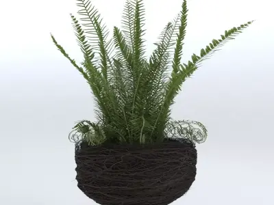 Decorative Plant Pot 3D model