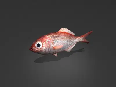 Lutjanus Vivanus Low-poly 3D model