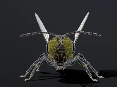 Bee low poly 3D model Low-poly 3D model
