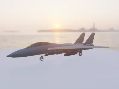 F-14 Tomcat Low-poly 3D model