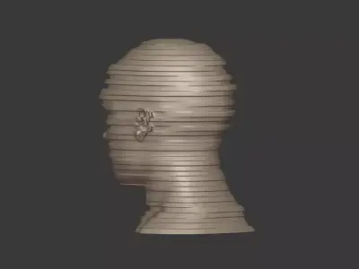 Abstract Bust Ready for 3D Printing Free 3D model