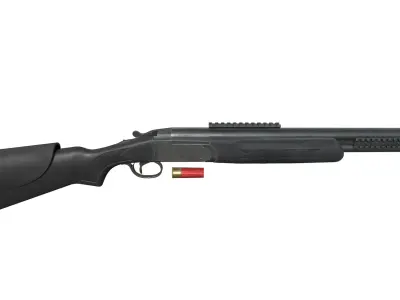 DOUBLE DEFENSE SHOTGUNS Low-poly 3D model