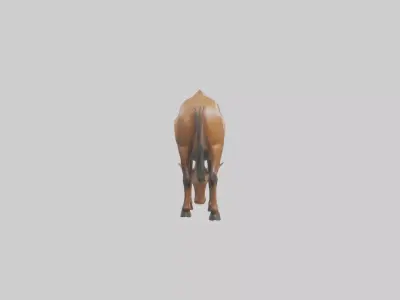Hartebeest grazing model Low-poly 3D model