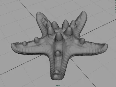 Starfish Low-poly 3D model order