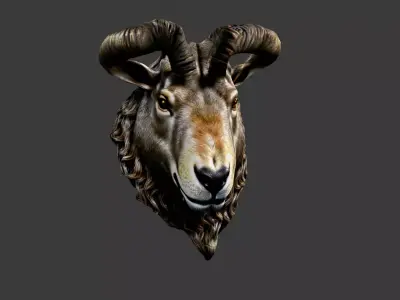 Animal Head Low-poly 3D model 7