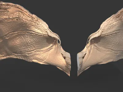 Arch Dragon Print Wings 3D model