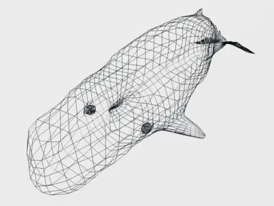 Cachalot whale Low-poly 3D model
