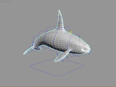 killer whale orca Low-poly 3D model