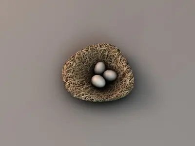 Nest with eggs Low-poly 3D model