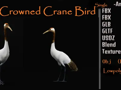 Red Crowned Crane Bird Low-poly 3D model purchase