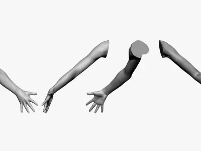 001294 hand of woman all fingers are opened low poly Low-poly 3D model
