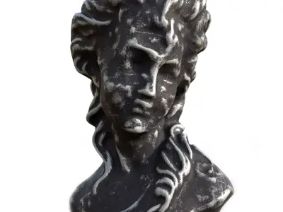 sculpt head Free 3D model