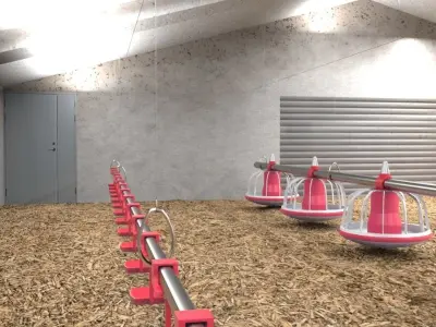 Poutry farm feeder drinker sawdust 3D model