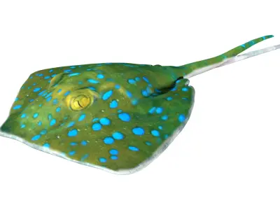 Stingray Low-poly 3D model