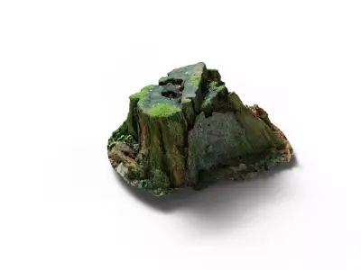Forest Tree Stump 4K -Part 7- Free low-poly 3D model