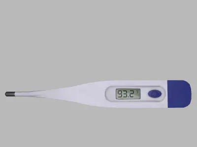 Thermometer Low Poly Low-poly 3D model