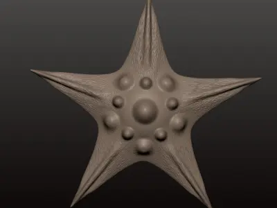 Star fish 01 Free 3D print model